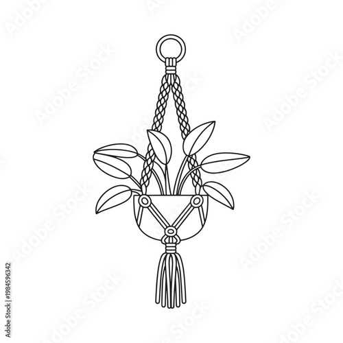 Simple line drawing of a macrame plant hanger with a potted plant