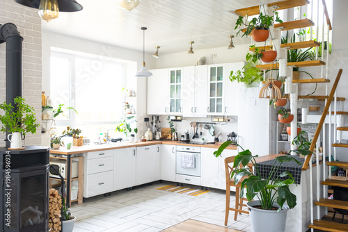 Photos Bright kitchen interior with modular staircase, lots of potted plants, eco-friendly style, wooden shelves, daylight, cozy and fresh atmosphere