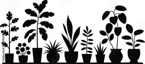 Indoor plant silhouettes set, decorative houseplants collection for home decor and gardening illustration