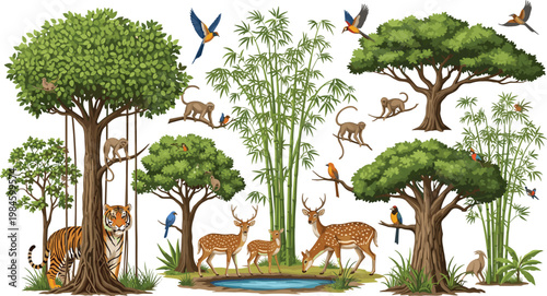 Photography Jungle wildlife scene with tiger deer monkeys birds and bamboo forest vector ill