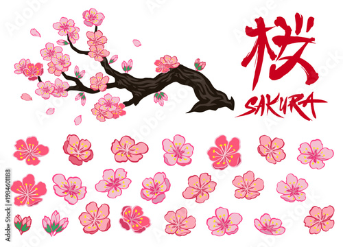 Set of Beautiful Sakura Cherry Blossom in Hand Drawn