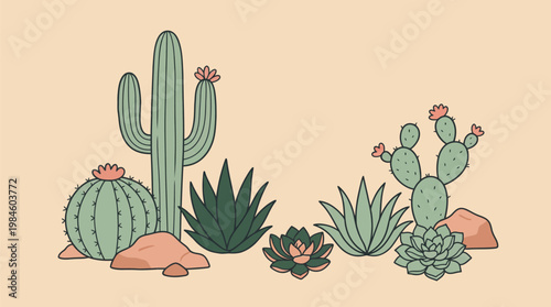 Green Cacti and Succulents on Desert Rocks