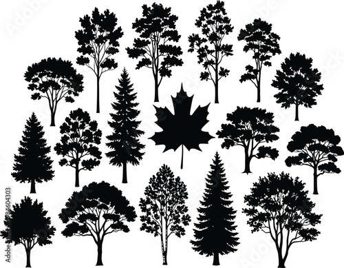 Business rental agreement document page, commercial model details, contract information, financial terms, professional corporate report, leasing conditions, office documentation concept