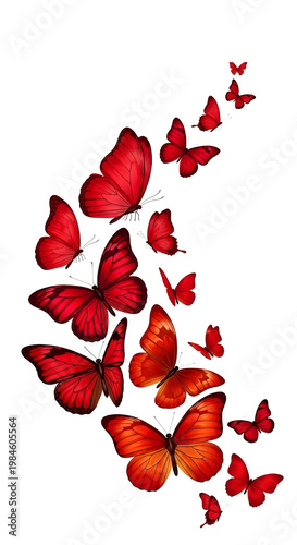 Swarm of Red and Orange Butterflies Flying Upward on a Gradient Background
