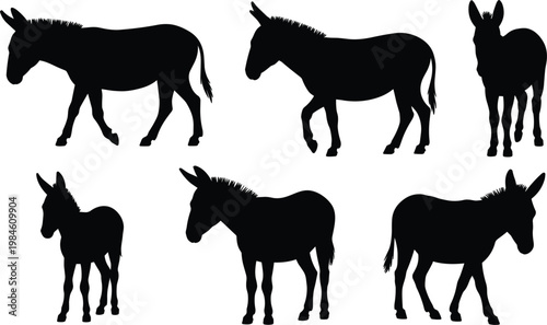 Donkey silhouettes set, farm animal collection for rural agriculture and livestock illustration
