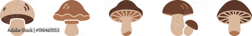 A collection of stylized mushrooms an artistic depiction of fungal diversity and natural beauty