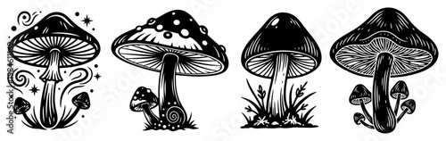 Set of stylized mushroom illustrations hand drawn engraving style, magic forest fungi vintage vector collection
