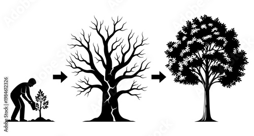 Tree growth stages shown with person planting a sapling and mature tree development