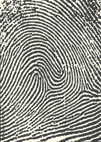 Close-up of fingerprint pattern with fingerprint identity identification abstract background close-up biometric security evidence forensics personal impression monochrome