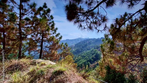 A serene hilltop view in Mukteshwar, Uttarakhand framed by pine trees reveals a lush green valley and distant terraced slopes under a softly clouded sky.