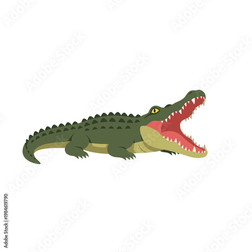 Green crocodile with open mouth on white background illustration