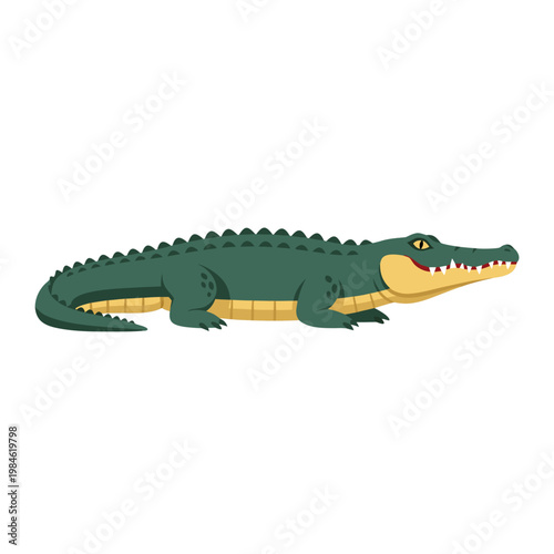 Green crocodile lying on white background flat illustration