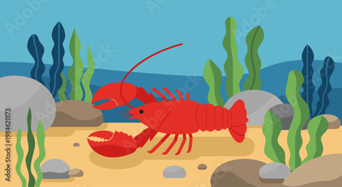 Red lobster crawling along sandy sea floor and rocks