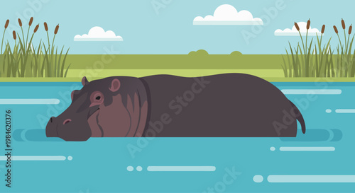 Hippopotamus partially submerged in calm river habitat with reeds on shoreline