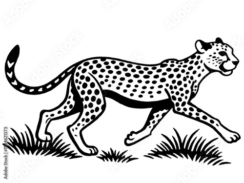 Cheetah running across grassland with low vegetation