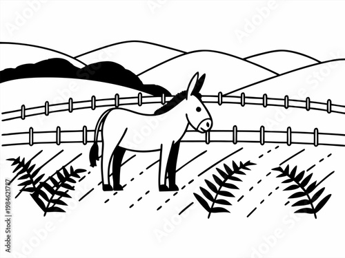 Donkey grazing in rural pasture with rolling hills