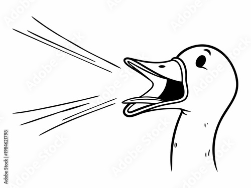 Duck calling loudly with open beak against plain background