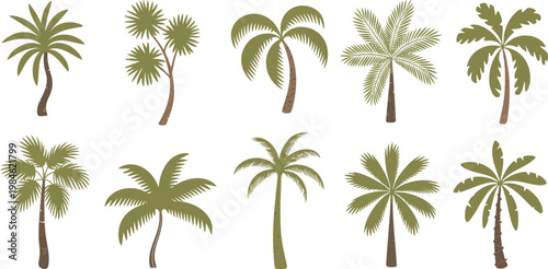 Palm trees vector set, cartoon tropical nature collection featuring exotic green leaves coconut trunks and banana tree variations, jungle rainforest plants with fruits and lush island vibes, 