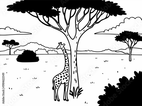 Giraffe standing beside acacia tree in open savanna