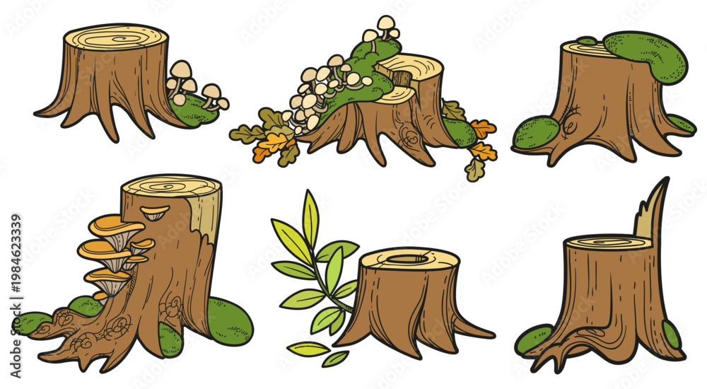 Fototapeta premium Set of different stumps with parasitic overgrowth toadstools and moss isolated on white background