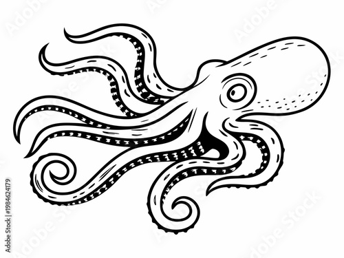 Octopus swimming with curling tentacles on white background