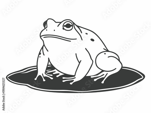 Monochrome frog resting on shallow water puddle silhouette ground