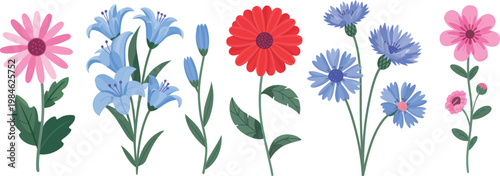 Red pink and blue flower vector set, collection of gerbera bluebell chicory and assorted wildflowers, clean botanical illustrations with bright natural color palette, isolated floral elements 