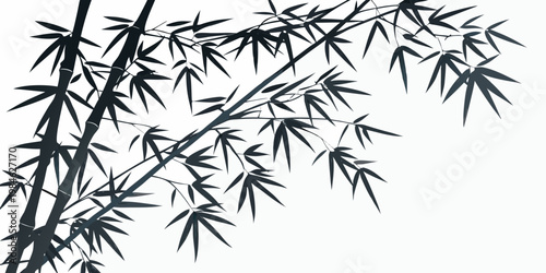 Elegant bamboo stalks and leaves against a plain white background