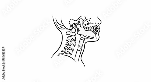 Stylized line drawing of a human skull and neck vertebrae