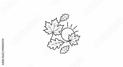 Stylized autumn leaves and sunburst illustration on white background