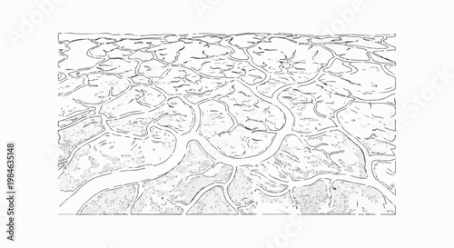 Stylized abstract depiction of a cellular structure or branching veins