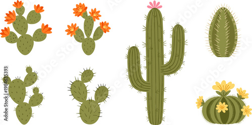 Set of Cactus Plant Vector Collection with Desert Succulent Elements, Blooming Prickly Pear, Barrel Cactus, and Saguaro Isolated on White Background