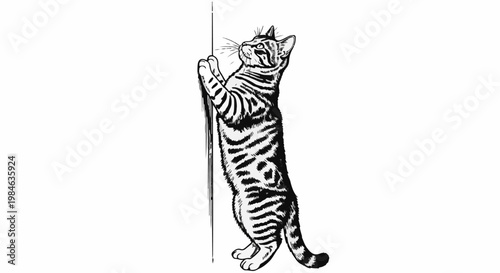 Striped cat standing on hind legs, scratching vertical pole