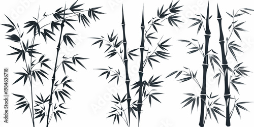 Elegant black and white illustration of several bamboo stalks and leaves