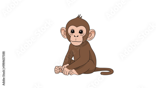 Adorable baby monkey with big expressive eyes and soft brown fur sitting comfortably on a plain white background.
