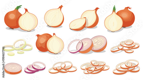 Comprehensive collection of fresh whole halved and sliced yellow and red onions along with crispy onion rings.