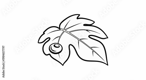 Stylized black outline of a grape leaf with a single berry attached