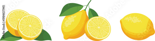 Citrus lemon fruit vector set, fresh yellow lemon illustrations including whole lemons and sliced halves with seeds and leaves, juicy realistic texture with bright highlights, isolated clean elements 