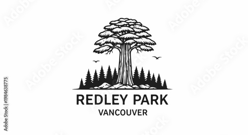 Stylized illustration of a large tree in a forest with birds