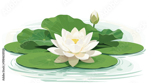 White water lily flower in full bloom floating on green lily pads in a pond captured in a beautiful flat illustration.