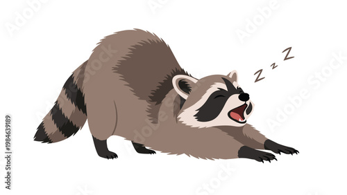 Cute cartoon raccoon stretching and yawning with mouth wide open showing tiredness and early morning fatigue.