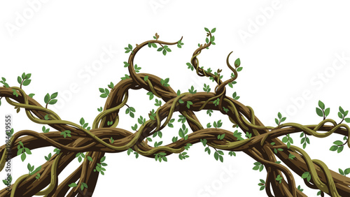 Intertwined thick brown vines with small green leaves forming a natural arch or decorative border against white.