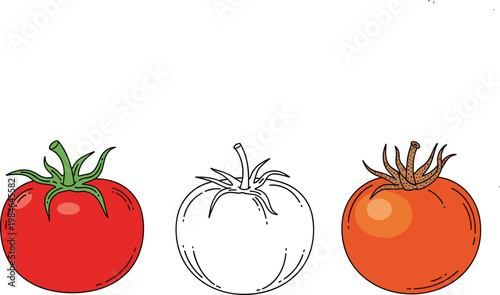 Tomato illustrations set with red orange and outline styles fresh vegetable vector illustration food collection design