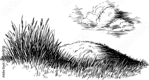 Black and white of tall grasses and clouds a hillside nature field