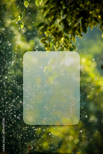 Green leaves and raindrops on a blurred background with a transparent square
