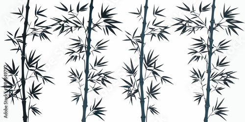Elegant bamboo stalks and leaves against a clean white background