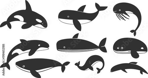 Collection of minimalist whale silhouettes including orca killer whales, humpback whales, blue whales, and sperm whales isolated on white background for marine life design projects.