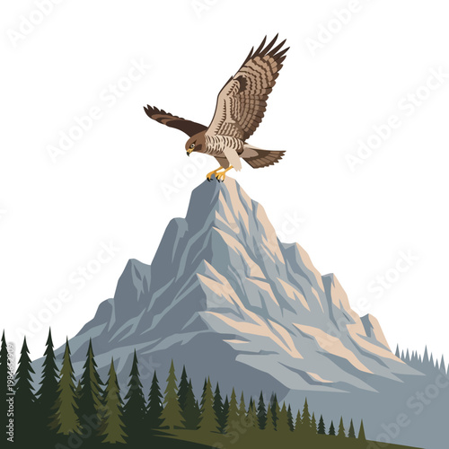 Majestic Hawk Perched on Mountain Peak, Soaring Above Evergreen Forest