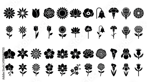 Black and white botanical illustration of various flowers in silhouette. The image features a diverse collection of floral designs