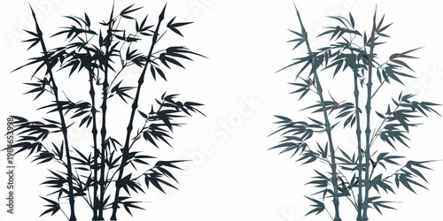 Elegant bamboo stalks create a serene and minimalist botanical illustration